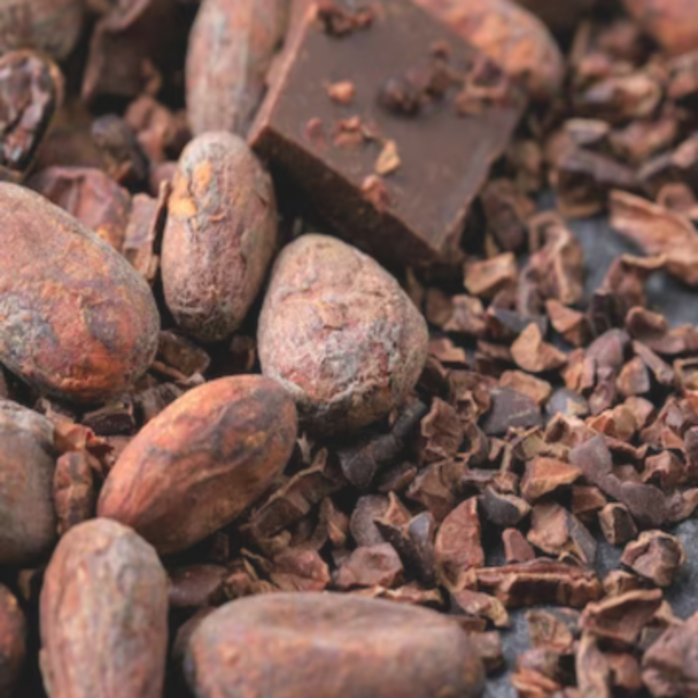 Organic Cacao Nibs